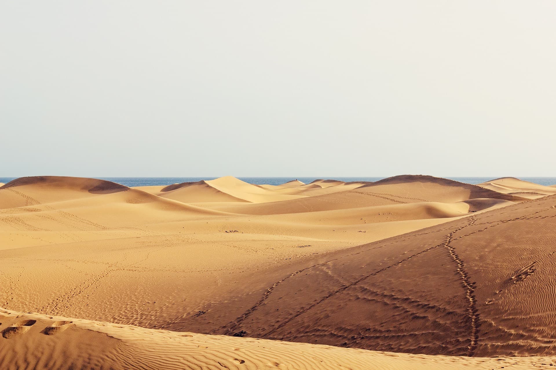 Dunas de Maspalomas, Gran Canaria